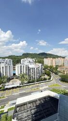 The Hillier (D23), Apartment #598766071